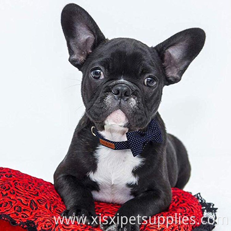 Soft Comfortable Adjustable Dog Cat Collar with Bowtie BREAKAWAY COLLARS Personalized Quick Release Eco-friendly Autumn/winter